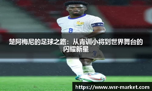 彩神官方网站